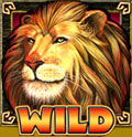 Safari Heat Spielautomat Wild